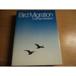 Bird Migration