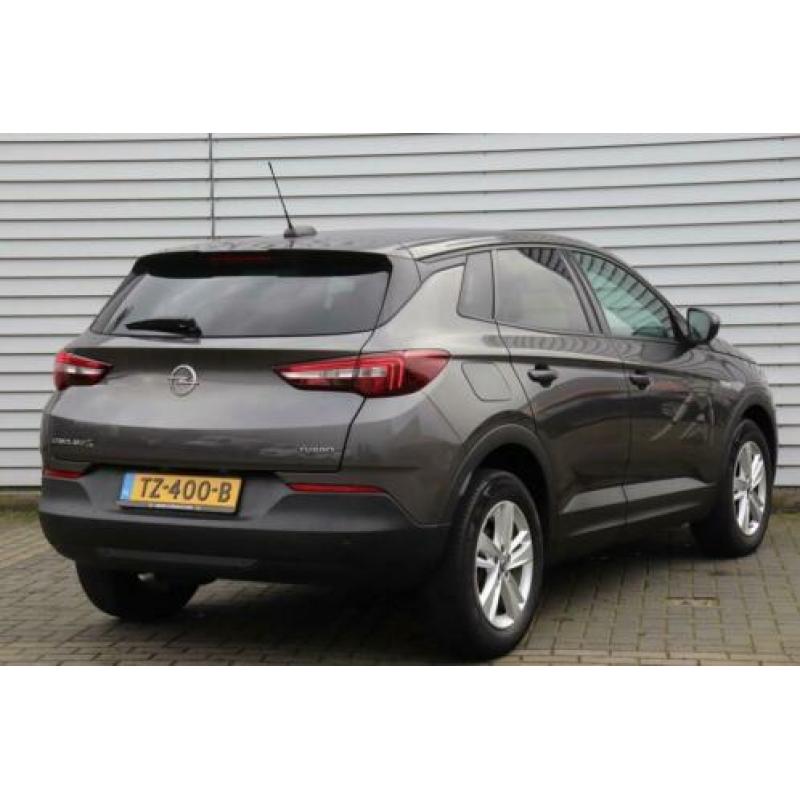 Opel Grandland X 130pk Turbo Online Edition (Winterpakket/Cl