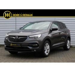 Opel Grandland X 130pk Turbo Online Edition (Winterpakket/Cl