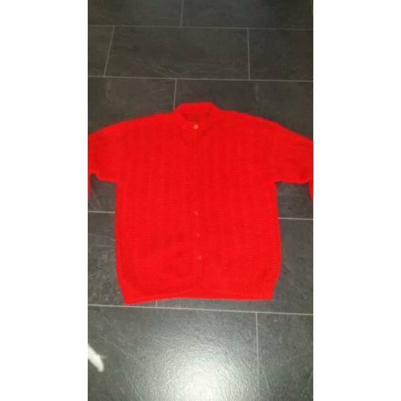 Gebreid vest maat L/ XL