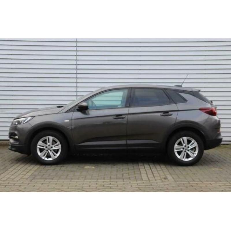 Opel Grandland X 130pk Turbo Online Edition (Winterpakket/Cl