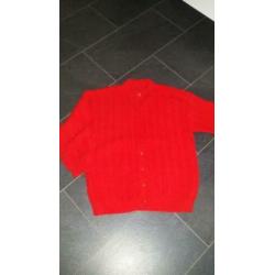 Gebreid vest maat L/ XL