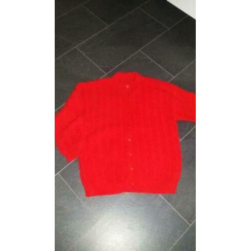 Gebreid vest maat L/ XL