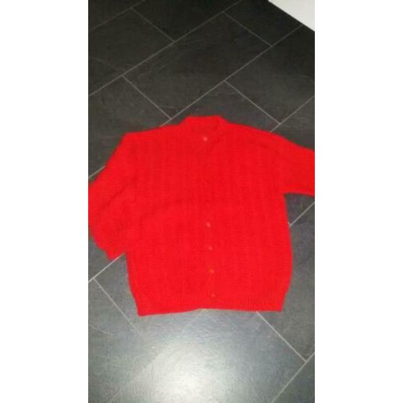 Gebreid vest maat L/ XL