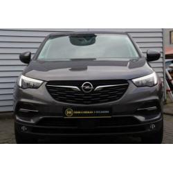 Opel Grandland X 130pk Turbo Online Edition (Winterpakket/Cl