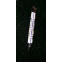 Mini kwik thermometer 7.6 cm