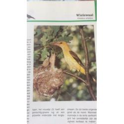 De grote encyclopedie der vogels, Karel stastny