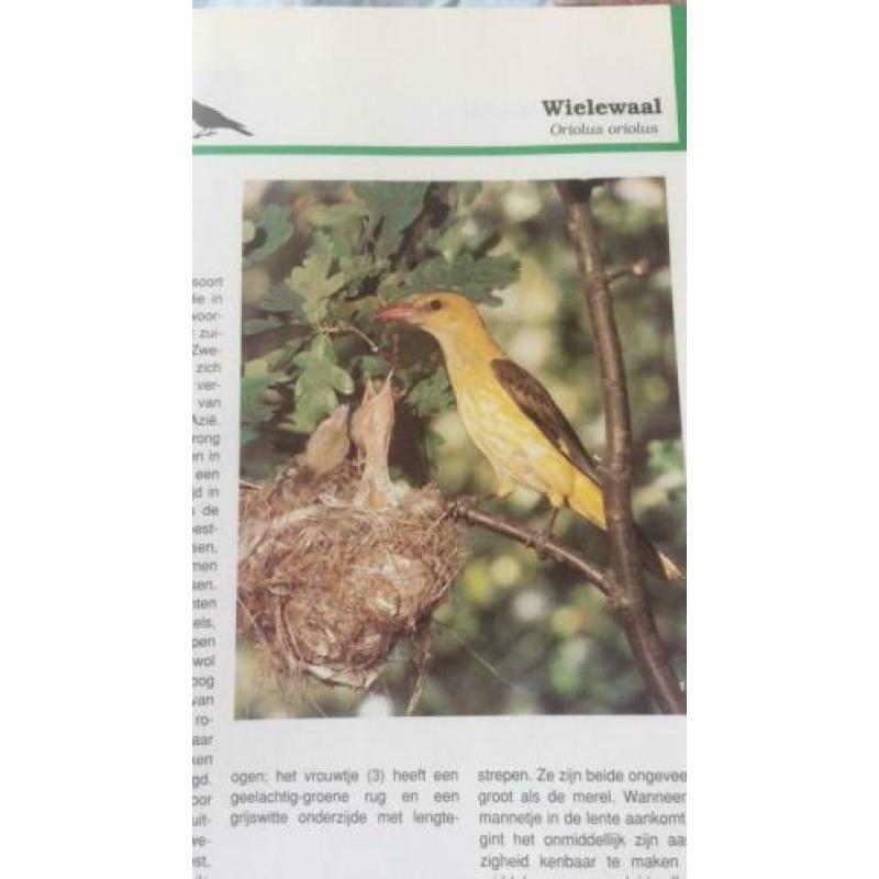 De grote encyclopedie der vogels, Karel stastny