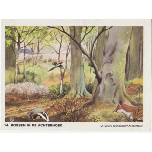 Plaatjes dieren