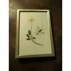brocant Leuk oud brocante foto lijstje. 15 bij 10 cm