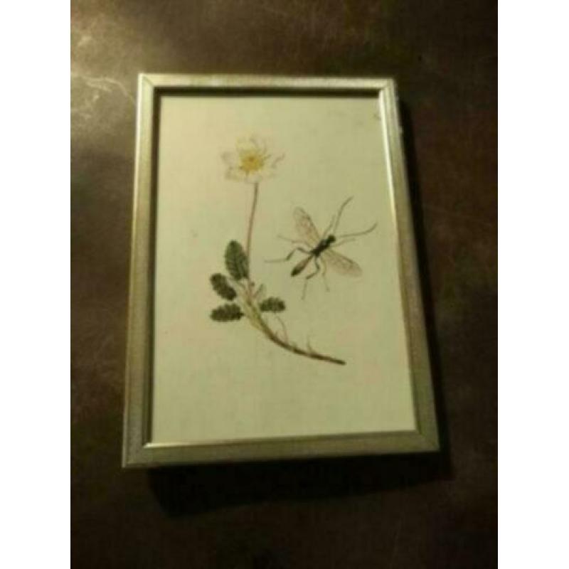 brocant Leuk oud brocante foto lijstje. 15 bij 10 cm