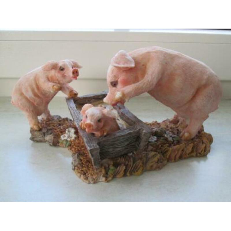 Beeld ; Varkentjes