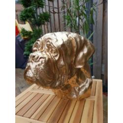 Bulldog bordeauxdog stafford enz sier of urn