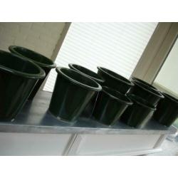 10 donker groene planten potten