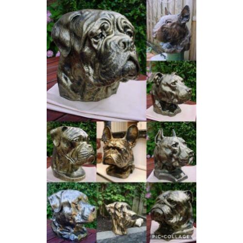 Bulldog bordeauxdog stafford enz sier of urn