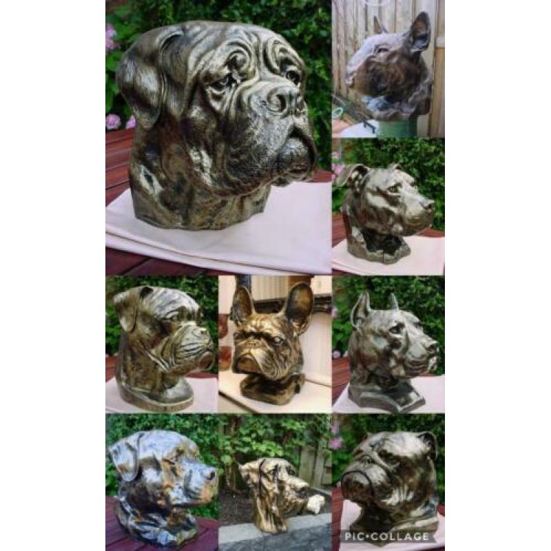 Bulldog bordeauxdog stafford enz sier of urn
