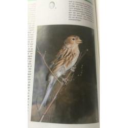 De grote encyclopedie der vogels, Karel stastny
