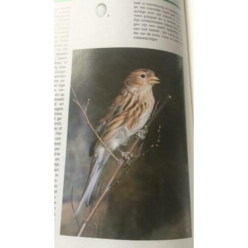De grote encyclopedie der vogels, Karel stastny