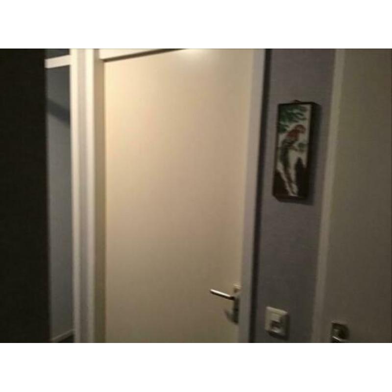 Te koop 8 Opdek deuren met een hoogte 211,5 cm Br 88,83,73