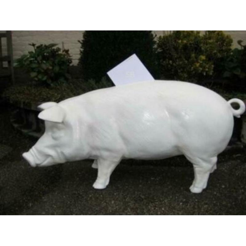 Enveloppe Signeer Varken voor bruiloft of feest