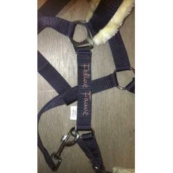 Bonthalster navy feline fauve pony