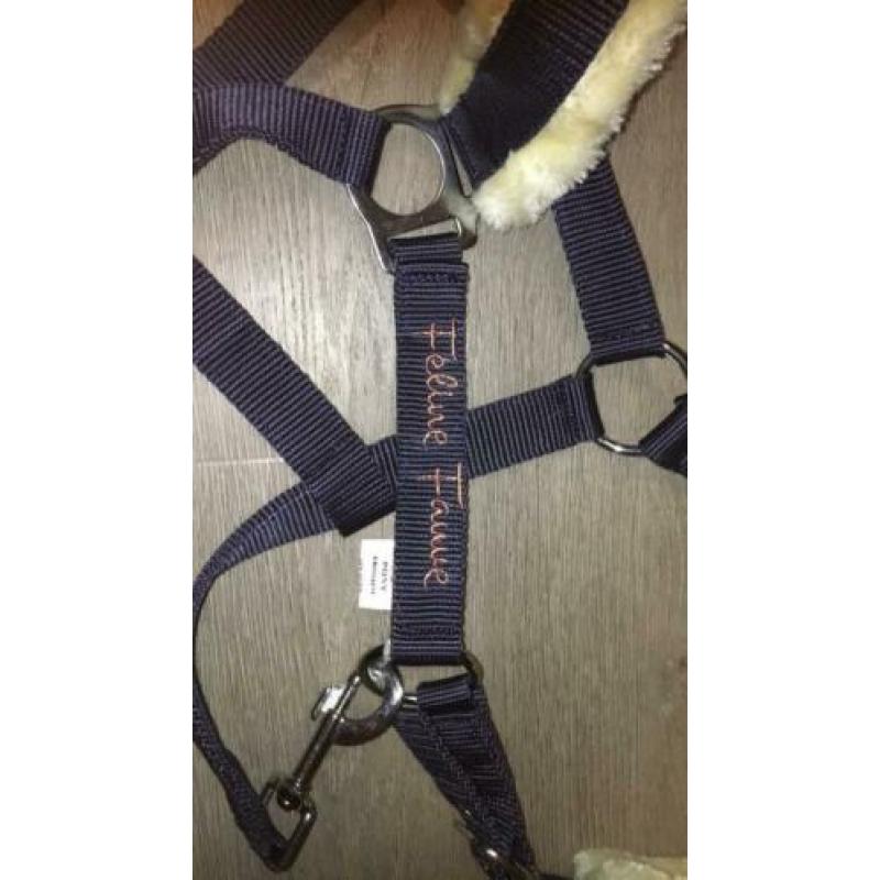 Bonthalster navy feline fauve pony