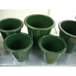 10 donker groene planten potten