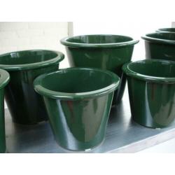 10 donker groene planten potten