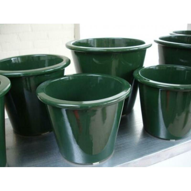 10 donker groene planten potten