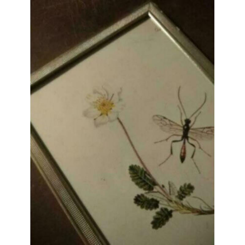 brocant Leuk oud brocante foto lijstje. 15 bij 10 cm