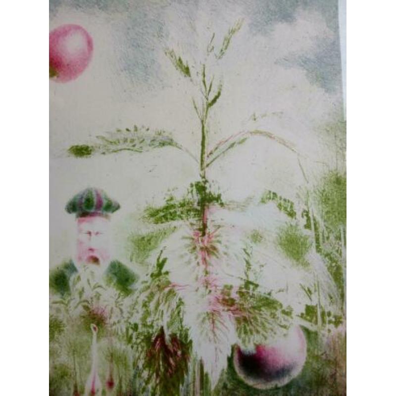 Wout Muller (1946-2000) - kleuren lithografie - zonder titel