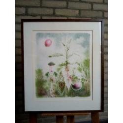 Wout Muller (1946-2000) - kleuren lithografie - zonder titel