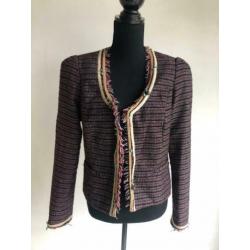 maison scotch jasje maat 3