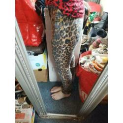 Coolcat skinny dames tijgerprint spijkerbroek met stretch