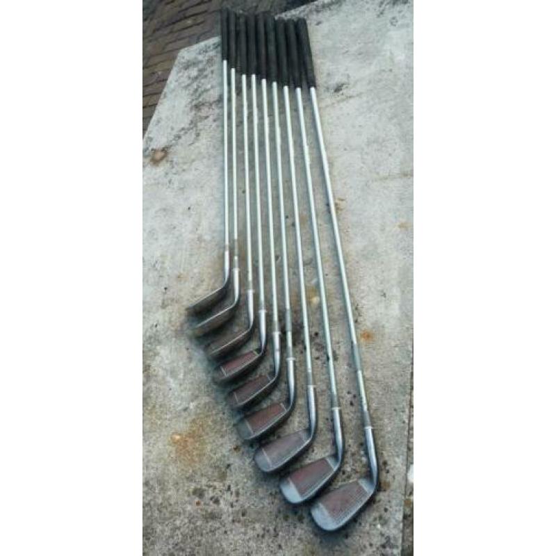 diverse golf sticks golfsticks