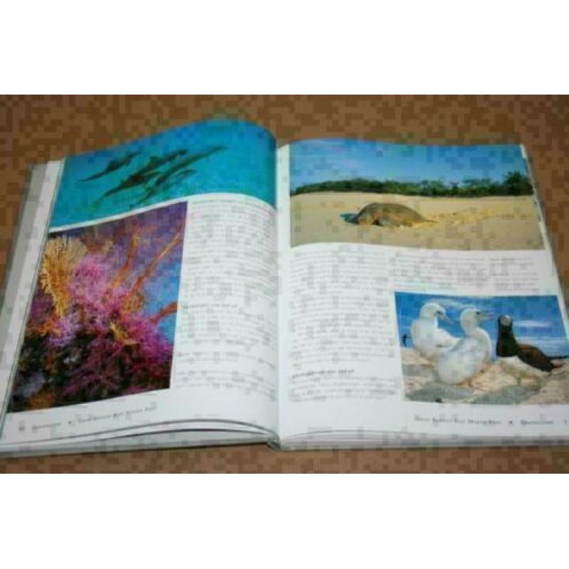 Boek over de wildernissen van Australië !!