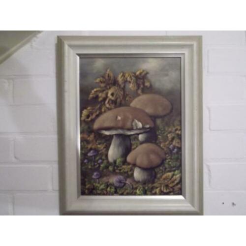 Schilderij Paddenstoelen. Paddestoelen. Gesigneerd.