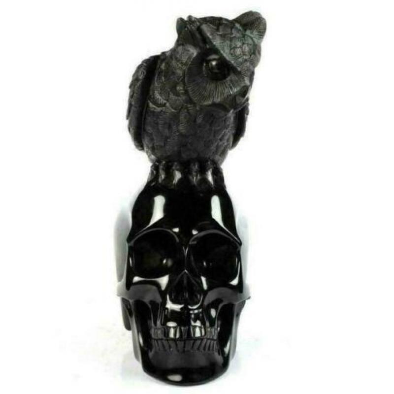 Zwart Obsidiaan Schedel Reiki Skelet Kristal 1.5 KG