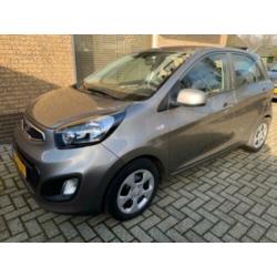 Kia Picanto Grijs
