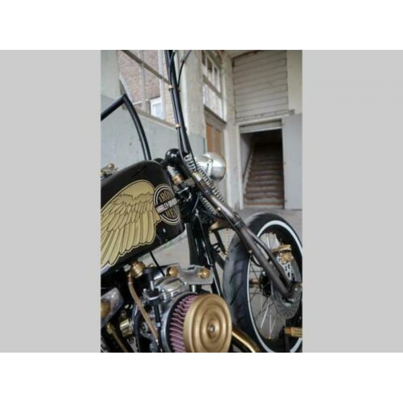 Exclusieve Eigenbouw HD XLH1000 Chopper Ironhead '77