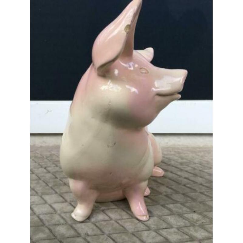 SPAARVARKEN oud