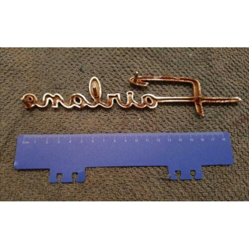 Vintage auto emblemen