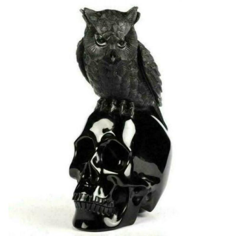 Zwart Obsidiaan Schedel Reiki Skelet Kristal 1.5 KG