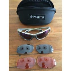 Polaroid skibril