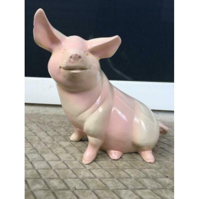 SPAARVARKEN oud