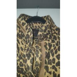 Scotch&Soda jas maat 42