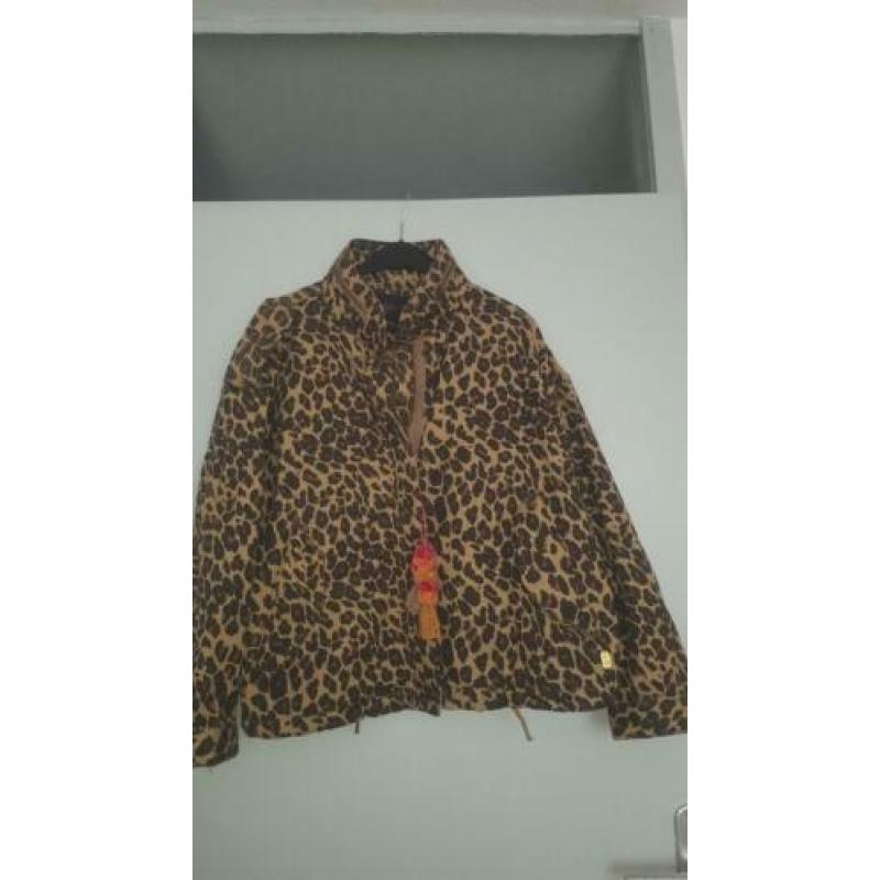 Scotch&Soda jas maat 42