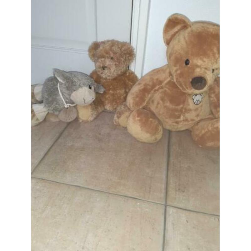 Knuffels