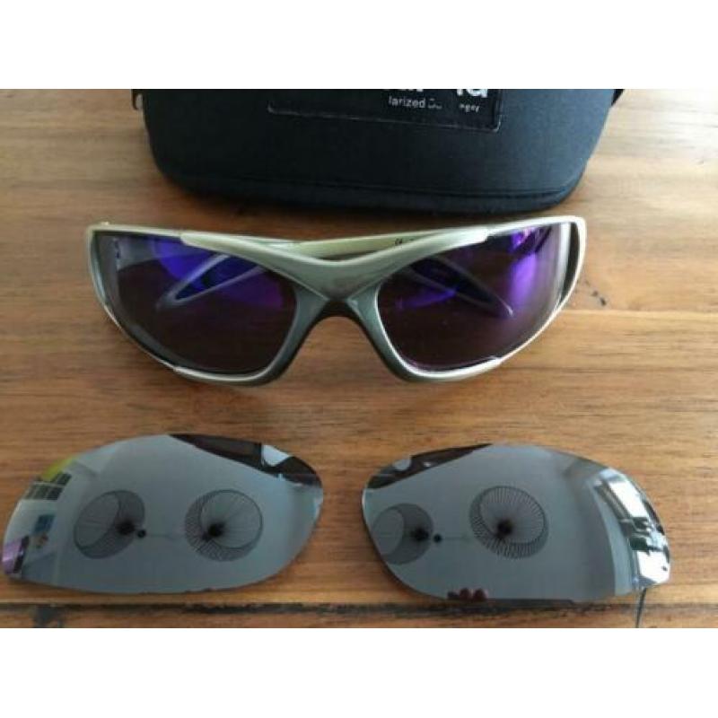 Polaroid skibril