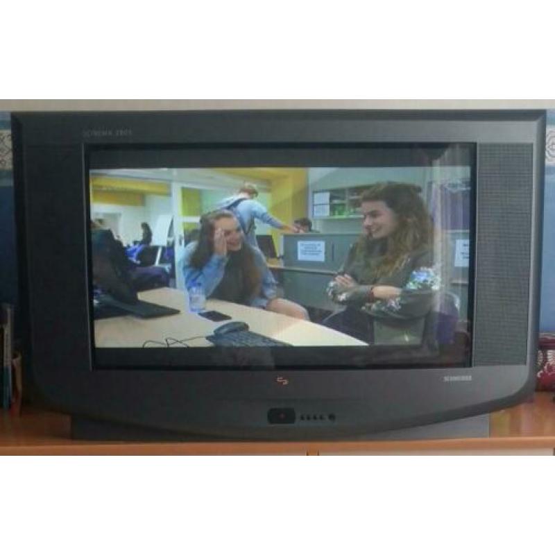 Scneidar tv 80cm met afstand bediening.